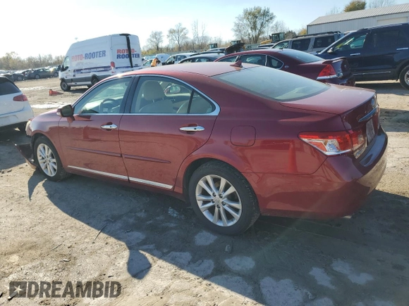 2010 Lexus ES 330 with VIN JTHBK1EG8A2373807, listed as a Copart auction lot 79673444 with 189,023 mi miles and Salvage Title. Bid and sale history available at DreamBid. Image 2.