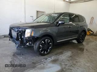 2024 Kia Telluride SX X-Line with VIN 5XYP5DGC8RG419163, listed as a Copart auction lot 48467455 with 31,089 mi miles and Salvage Title. Bid and sale history available at carsss.com. Image 1.