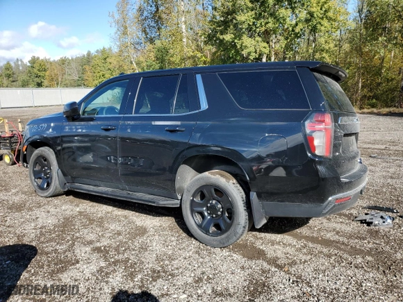 2021 Chevrolet Tahoe Commercial with VIN 1GNSKLED4MR476230, listed as a Copart auction lot 75313974 with 124,085 mi miles and Salvage Title. Bid and sale history available at carsss.com. Image 2.