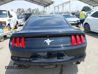 2017 Ford Mustang V6 z VIN 1FA6P8AM9H5353976, wystawiony jako IAAI lot #42359163 z przebiegiem 49 757 mil mil oraz . Historia ofert i sprzedaży dostępna na DreamBid. Obrazek 16.