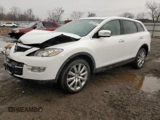 2009 Mazda CX-9 Grand Touring with VIN JM3TB38A590174074, listed as a Copart auction lot 49623355 with 123,531 mi miles and Salvage Title. Bid and sale history available at carsss.com. Image 1.