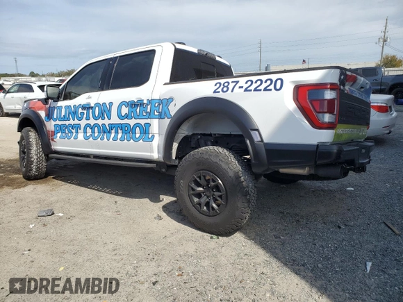 2023 Ford F-150 Raptor with VIN 1FTFW1RJ4PFC98974, listed as a Copart auction lot 47208565 with Not Provided miles and Salvage Title. Bid and sale history available at DreamBid. Image 2.