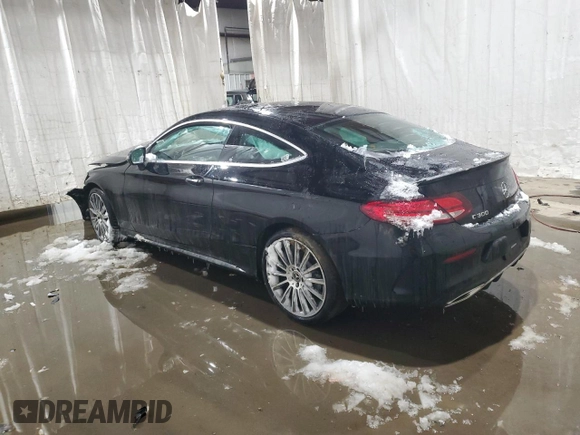 2023 Mercedes-Benz C 300 with VIN W1KWJ8EBXPG117463, listed as a Copart auction lot 88074365 with Not Provided miles and Salvage Title. Bid and sale history available at DreamBid. Image 2.