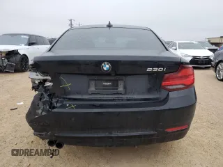 2020 BMW 2 Series 230i with VIN WBA2J1C09L7E60485, listed as a Copart auction lot 44817925 with 53,159 mi miles and Clean Title. Bid and sale history available at carsss.com. Image 6.