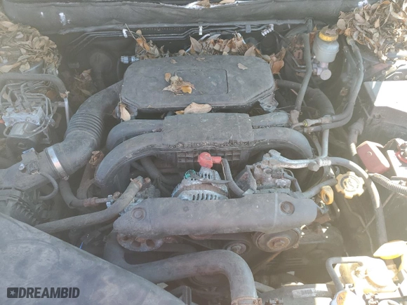 2010 Subaru Outback Prem All-Weathr/Pwr Moon with VIN 4S4BRBGCXA3343436, listed as a Copart auction lot 55884994 with 0 mi miles and Salvage Title. Bid and sale history available at carsss.com. Image 12.