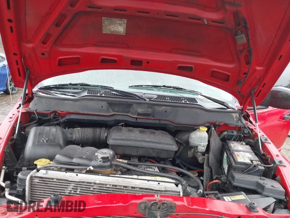 2002 Dodge 1500 with VIN 3B7HA18N42G110215, listed as a IAAI auction lot 41125118 with 192,105 mi miles and . Bid and sale history available at DreamBid. Image 10.