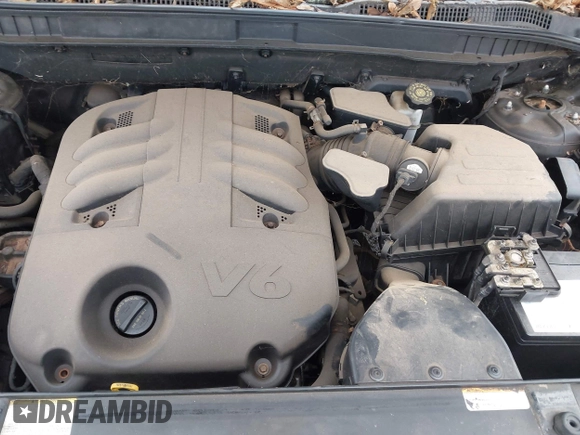 2008 Hyundai Veracruz GLS with VIN KM8NU13C48U073443, listed as a IAAI auction lot 42373199 with 216,736 mi miles and . Bid and sale history available at DreamBid. Image 10.