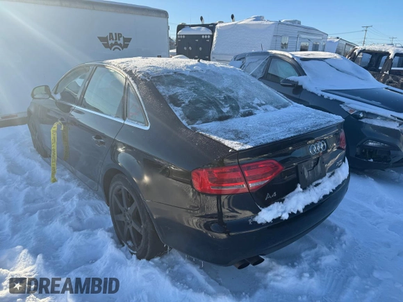 2009 Audi A4 with VIN WAULF68K79N017833, listed as a Copart auction lot 86507584 with 202,534 mi miles and Salvage title. Bid and sale history available at DreamBid. Image 2.