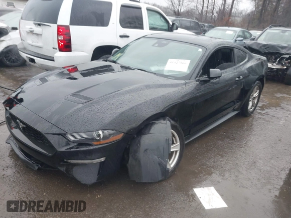 2022 Ford Mustang EcoBoost with VIN 1FA6P8TH4N5125234, listed as a IAAI auction lot 41427506 with 48,999 mi miles and . Bid and sale history available at DreamBid. Image 2.