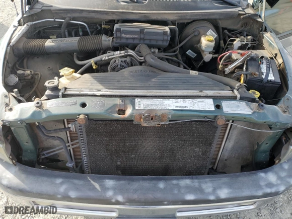 1999 Dodge Ram 1500 with VIN 1B7HC13Z0XJ535229, listed as a Copart auction lot 48399865 with 146,404 mi miles and Salvage Title. Bid and sale history available at carsss.com. Image 11.