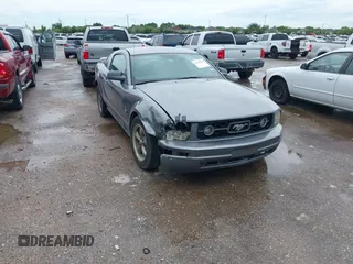2006 Ford Mustang Standard with VIN 1ZVFT80N665134709, listed as a IAAI auction lot 42350538 with 172,624 mi miles and . Bid and sale history available at DreamBid. Image 1.