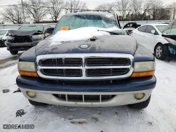 2001 Dodge Durango with VIN 1B4HS28N91F605557, listed as a Copart auction lot 87896845 with 217,191 mi miles and Salvage Title. Bid and sale history available at carsss.com. Image 5.