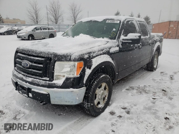 2010 Ford F-150 XL with VIN 1FTEW1E88AFC73162, listed as a Copart auction lot 67450871 with 288,009 mi miles and Clean title. Bid and sale history available at DreamBid. Image 2.