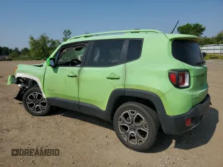 2016 Jeep Renegade Limited with VIN ZACCJBDT8GPC60046, listed as a Copart auction lot 60529055 with 110,282 mi miles and Salvage title. Bid and sale history available at DreamBid. Image 2.