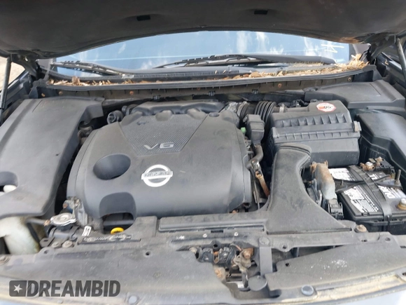 2009 Nissan Maxima SV with VIN 1N4AA51E29C800664, listed as a IAAI auction lot 42164024 with Not Provided miles and . Bid and sale history available at DreamBid. Image 10.
