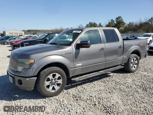 2013 Ford F-150 XL with VIN 1FTFW1CT8DKE91710, listed as a Copart auction lot 47856005 with 232,564 mi miles and Salvage Title. Bid and sale history available at carsss.com. Image 1.