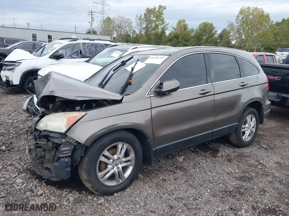 2010 Honda CR-V EX-L with VIN 5J6RE4H70AL025928, listed as a IAAI auction lot 40448797 with 1 mi miles. Bid and sale history available at carsss.com. Image 2.