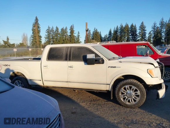 2009 Ford F-150 XL with VIN 1FTPW14V19FA43426, listed as a IAAI auction lot 41448065 with 180,394 mi miles and . Bid and sale history available at DreamBid. Image 13.