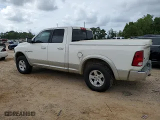 2009 Dodge Ram 1500 SLT with VIN 1D3HV18T59S813657, listed as a Copart auction lot 54573315 with 182,154 mi miles and Clean Title. Bid and sale history available at carsss.com. Image 2.