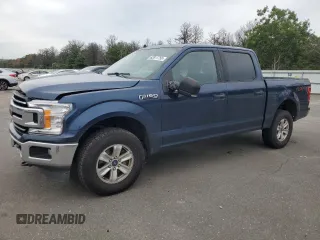 2019 Ford F-150 XL with VIN 1FTEW1E55KFC10642, listed as a Copart auction lot 62811755 with 128,286 mi miles and Salvage title. Bid and sale history available at DreamBid. Image 1.