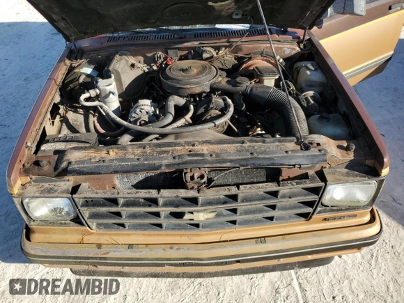 1988 Chevrolet Blazer z VIN 1GNCS18R1J0106286, wystawiony jako Copart lot #76802554 z przebiegiem 190 360 mil mil oraz Szkoda całkowita • Salvage title. Historia ofert i sprzedaży dostępna na DreamBid. Obrazek 12.