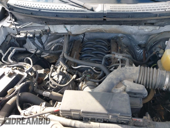 2013 Ford F-150 XL with VIN 1FTNF1CFXDKF22588, listed as a IAAI auction lot 41912246 with 124,416 mi miles. Bid and sale history available at carsss.com. Image 10.