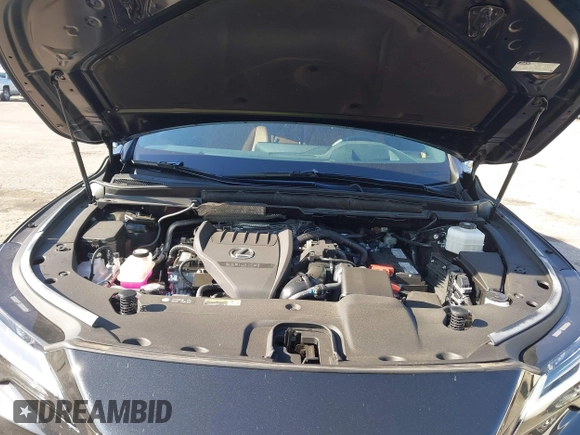 2024 Lexus RX 350 z VIN 2T2BAMBA1RC040122, wystawiony jako IAAI lot #42285889 z przebiegiem 14 822 mil mil oraz . Historia ofert i sprzedaży dostępna na DreamBid. Obrazek 10.