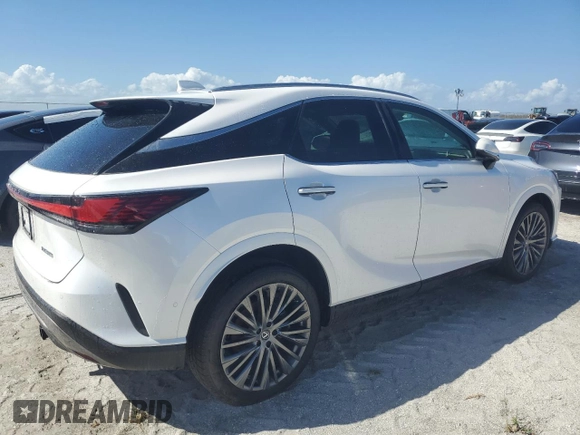 2024 Lexus RX with VIN 2T2BAMBA6RC033988, listed as a Copart auction lot 74774564 with Not Provided miles and Non Repairable. Bid and sale history available at carsss.com. Image 3.