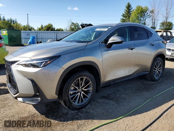 2023 Lexus NX with VIN 2T2ADCEZ2PC003530, listed as a Copart auction lot 67998304 with 10,784 mi miles and Salvage Title. Bid and sale history available at carsss.com. Image 1.