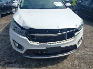 2017 Kia Sorento EX with VIN 5XYPH4A59HG300957, listed as a IAAI auction lot 42215684 with 220,309 mi miles and . Bid and sale history available at DreamBid. Image 6.