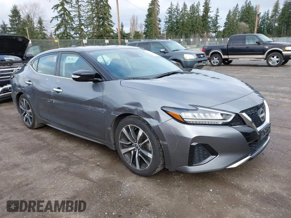 2023 Nissan Maxima SV with VIN 1N4AA6CV4PC512497, listed as a IAAI auction lot 41760990 with 32,400 mi miles and . Bid and sale history available at DreamBid. Image 1.