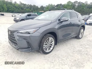 2025 Lexus NX 350 Premium with VIN 2T2GGCEZ4SC081138, listed as a Copart auction lot 54490465 with 479 mi miles and Salvage title. Bid and sale history available at DreamBid. Image 1.