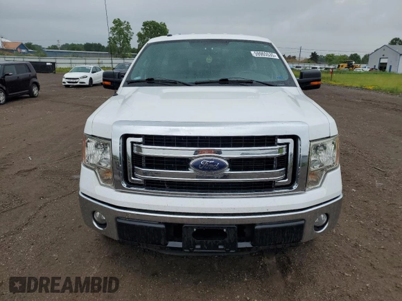 2013 Ford F-150 XL with VIN 1FTMF1CM8DKF92567, listed as a Copart auction lot 59965535 with 133,266 mi miles and Salvage title. Bid and sale history available at DreamBid. Image 5.