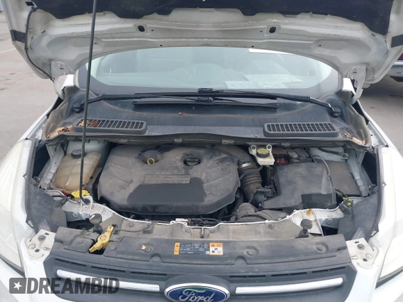 2013 Ford Escape SE with VIN 1FMCU9G98DUD55700, listed as a IAAI auction lot 42035531 with 189,010 mi miles. Bid and sale history available at carsss.com. Image 10.