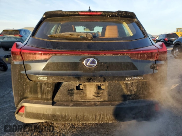 2020 Lexus UX with VIN JTHP9JBH5L2030549, listed as a Copart auction lot 88097685 with 55,214 mi miles and Salvage Title. Bid and sale history available at carsss.com. Image 6.