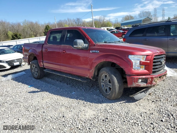 2016 Ford F-150 XLT with VIN 1FTEW1EF8GFB94842, listed as a Copart auction lot 49693255 with 105,289 mi miles and Salvage Title. Bid and sale history available at carsss.com. Image 4.