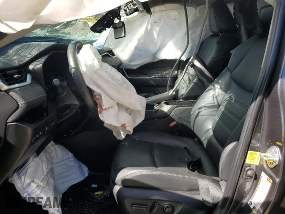 2023 Toyota RAV4 XLE Premium with VIN 2T3A1RFV4PW343764, listed as a Copart auction lot 76499994 with 0 mi miles and Salvage Title. Bid and sale history available at carsss.com. Image 7.
