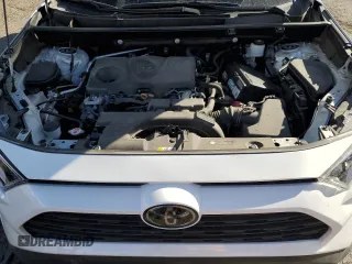 2019 Toyota RAV4 XLE with VIN 2T3W1RFV8KC028630, listed as a Copart auction lot 49307165 with 32,043 mi miles and Salvage Title. Bid and sale history available at DreamBid. Image 12.