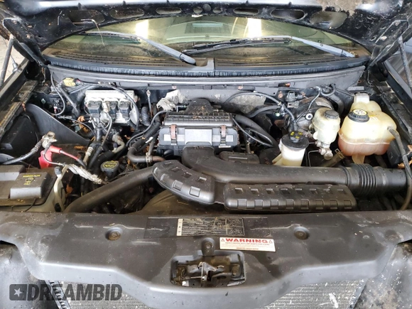 2005 Ford F-150 XLT with VIN 1FTPX14525NC09028, listed as a Copart auction lot 62164665 with Not provided miles and Clean title. Bid and sale history available at DreamBid. Image 11.