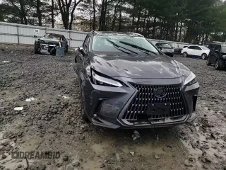 2024 Lexus NX with VIN 2T2AGCEZ4RC053310, listed as a Copart auction lot 81652604 with 10,328 mi miles and Salvage Title. Bid and sale history available at carsss.com. Image 12.