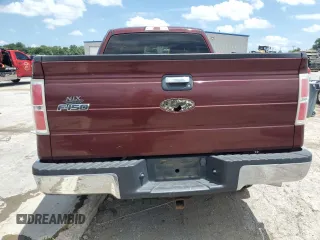 2009 Ford F-150 STX with VIN 1FTRX12869KB38106, listed as a Copart auction lot 62023805 with 66,700 mi miles and Salvage title. Bid and sale history available at DreamBid. Image 6.