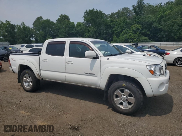 2005 Toyota Tacoma with VIN 5TELU42N95Z023835, listed as a Copart auction lot 60819095 with 271,642 mi miles and Salvage title. Bid and sale history available at DreamBid. Image 4.