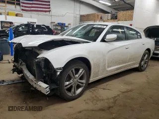 2014 Dodge Charger SXT with VIN 2C3CDXJG1EH156559, listed as a Copart auction lot 49011325 with 159,054 mi miles and Salvage Title. Bid and sale history available at carsss.com. Image 1.