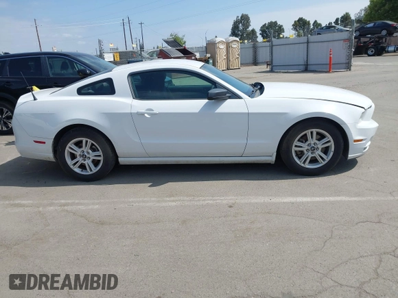 2014 Ford Mustang V6 with VIN 1ZVBP8AMXE5245688, listed as a IAAI auction lot 42074539 with 146,028 mi miles. Bid and sale history available at carsss.com. Image 13.
