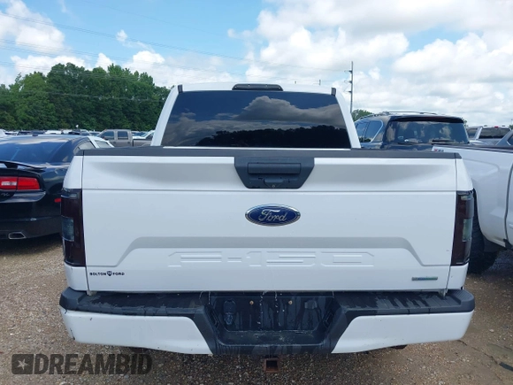2019 Ford F-150 XL with VIN 1FTEW1CP7KKE29338, listed as a IAAI auction lot 42256391 with Not provided miles and . Bid and sale history available at DreamBid. Image 14.