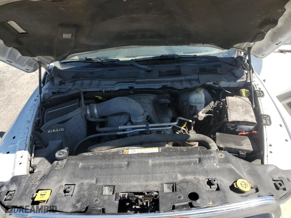 2010 Dodge Ram 1500 SLT with VIN 1D7RB1GTXAS182342, listed as a Copart auction lot 46303255 with 258,116 mi miles and Salvage Title. Bid and sale history available at carsss.com. Image 11.