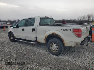 2011 Ford F-150 XL with VIN 1FTFW1EF9BKE12811, listed as a Copart auction lot 50792495 with 148,616 mi miles and Clean Title. Bid and sale history available at DreamBid. Image 2.
