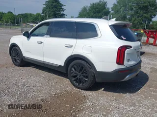 2020 Kia Telluride SX with VIN 5XYP5DHC4LG067625, listed as a IAAI auction lot 42302019 with 134,266 mi miles and . Bid and sale history available at DreamBid. Image 3.