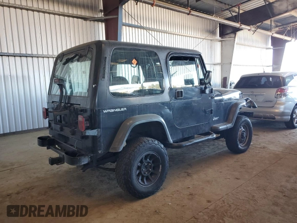 1994 Jeep Wrangler S with VIN 1J4FY19P9RP425255, listed as a Copart auction lot 41884425 with 177,089 mi miles and Salvage Title. Bid and sale history available at carsss.com. Image 3.
