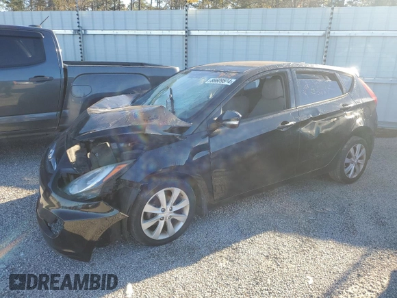 2013 Hyundai Accent SE with VIN KMHCU5AE1DU130498, listed as a Copart auction lot 48316105 with 0 mi miles and Salvage Title. Bid and sale history available at carsss.com. Image 1.